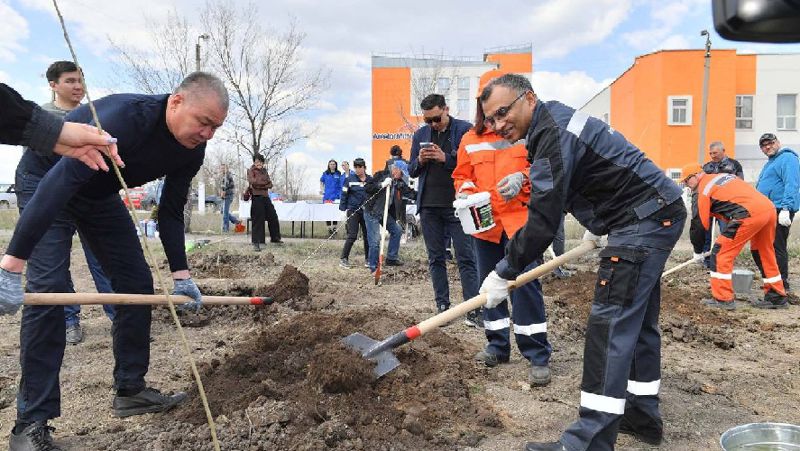 Высадку 100 тысяч саженцев в Темиртау начала компания «АрселорМиттал Темиртау»