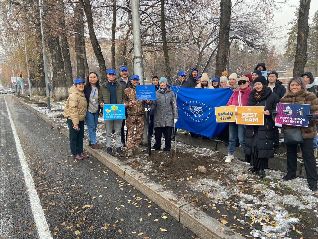 Каждое дерево на вес золота!