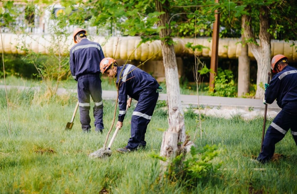 Акцию озеленения провели в Жезказгане