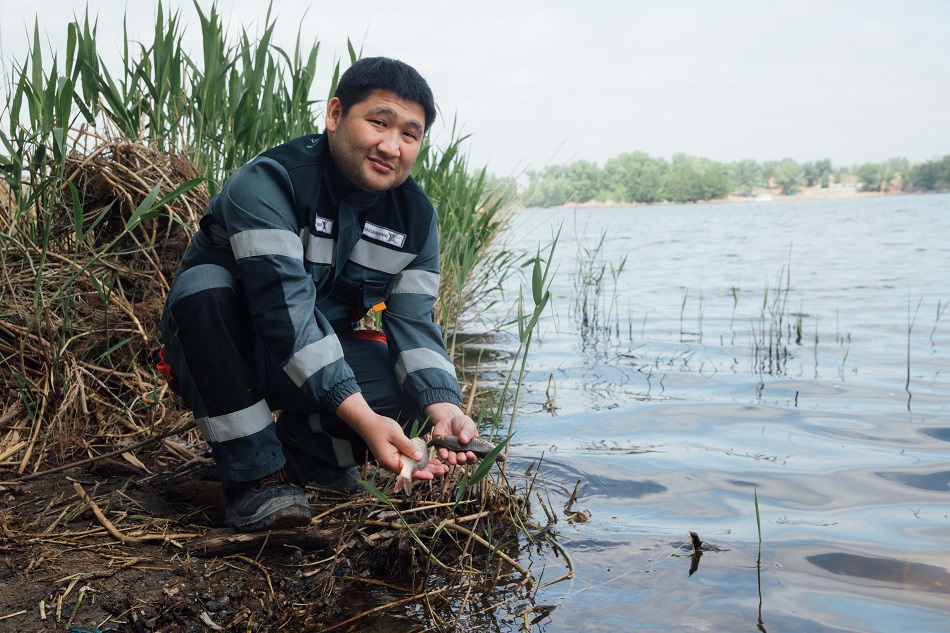 Актюбинские металлурги выпустили в реку Илек более 370 тысяч мальков карпа
